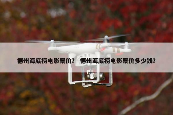 德州海底捞电影票价？ 德州海底捞电影票价多少钱？