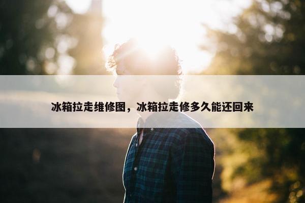 冰箱拉走维修图，冰箱拉走修多久能还回来