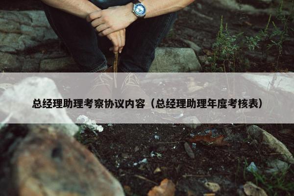 总经理助理考察协议内容（总经理助理年度考核表）