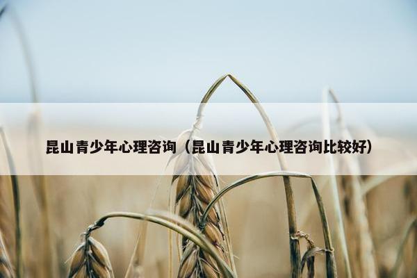 昆山青少年心理咨询（昆山青少年心理咨询比较好）