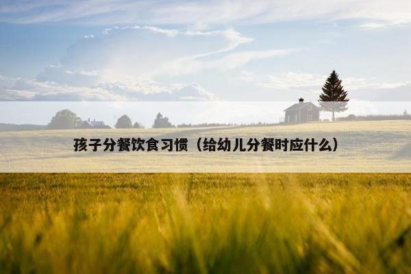 孩子分餐饮食习惯（给幼儿分餐时应什么）