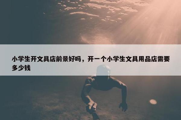 小学生开文具店前景好吗，开一个小学生文具用品店需要多少钱