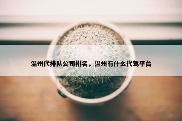温州代排队公司排名，温州有什么代驾平台