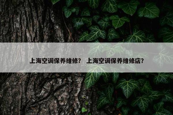 上海空调保养维修？ 上海空调保养维修店？