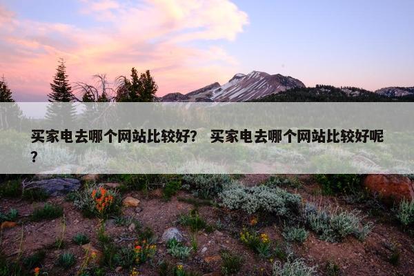 买家电去哪个网站比较好？ 买家电去哪个网站比较好呢？