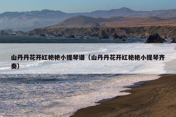 山丹丹花开红艳艳小提琴谱（山丹丹花开红艳艳小提琴齐奏）