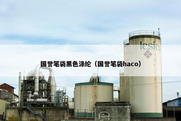 国誉笔袋黑色涤纶（国誉笔袋haco）