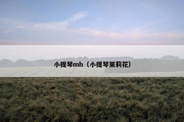 小提琴mh（小提琴茉莉花）
