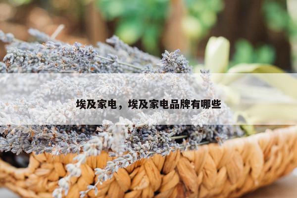 埃及家电，埃及家电品牌有哪些