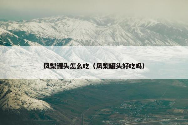 凤梨罐头怎么吃（凤梨罐头好吃吗）