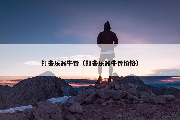 打击乐器牛铃（打击乐器牛铃价格）