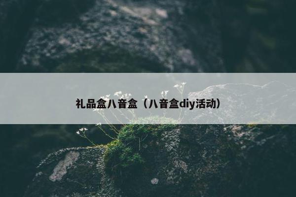 礼品盒八音盒（八音盒diy活动）