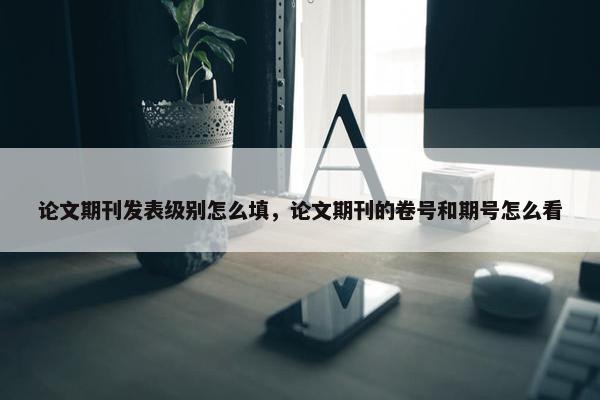 论文期刊发表级别怎么填，论文期刊的卷号和期号怎么看