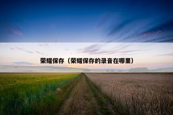 荣耀保存（荣耀保存的录音在哪里）