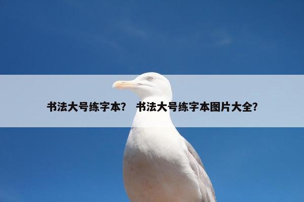 书法大号练字本？ 书法大号练字本图片大全？