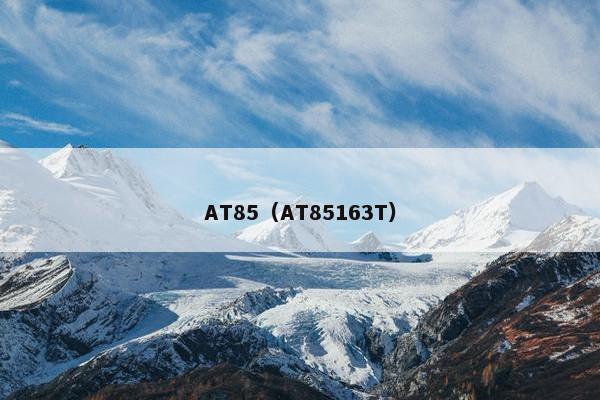 AT85（AT85163T）