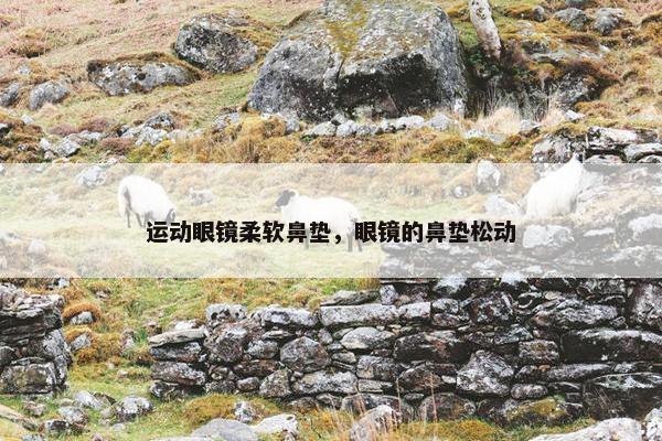 运动眼镜柔软鼻垫，眼镜的鼻垫松动