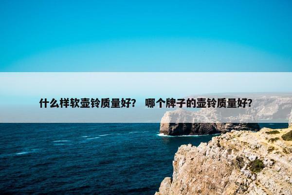 什么样软壶铃质量好？ 哪个牌子的壶铃质量好？