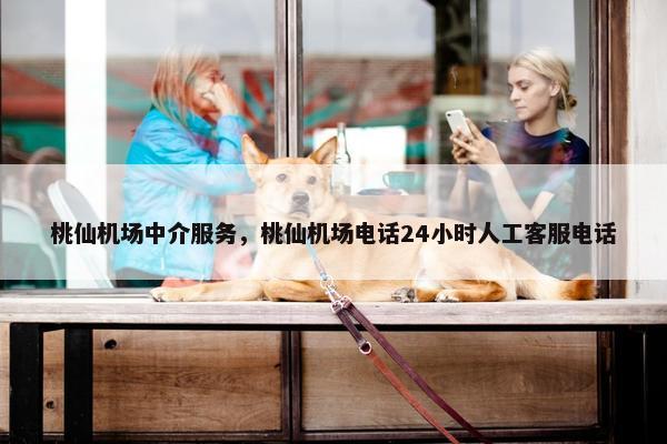 桃仙机场中介服务，桃仙机场电话24小时人工客服电话