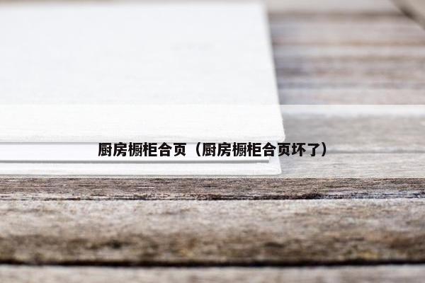 厨房橱柜合页（厨房橱柜合页坏了）