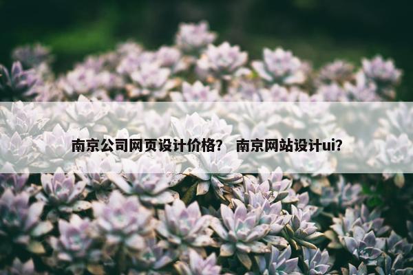 南京公司网页设计价格？ 南京网站设计ui？