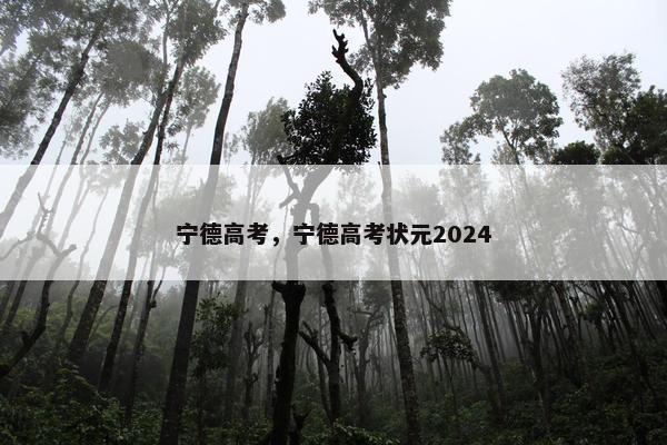 宁德高考，宁德高考状元2024