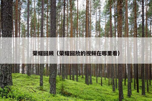 荣耀回顾（荣耀回放的视频在哪里看）