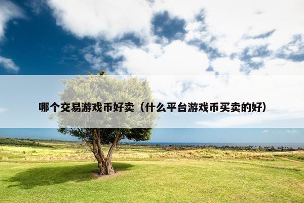 哪个交易游戏币好卖（什么平台游戏币买卖的好）