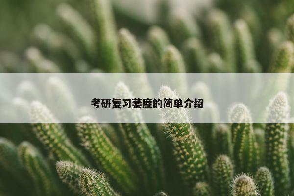 考研复习萎靡的简单介绍