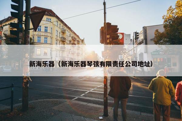 新海乐器（新海乐器琴弦有限责任公司地址）