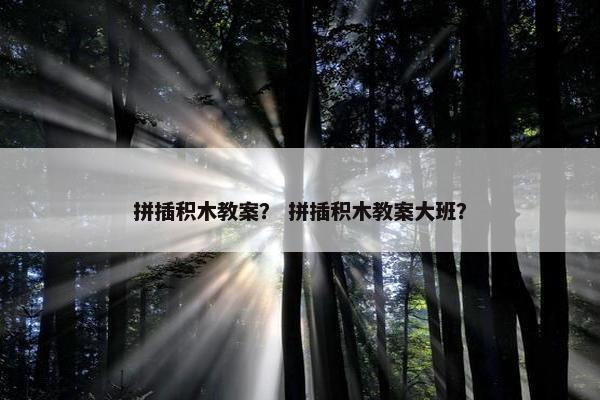 拼插积木教案？ 拼插积木教案大班？