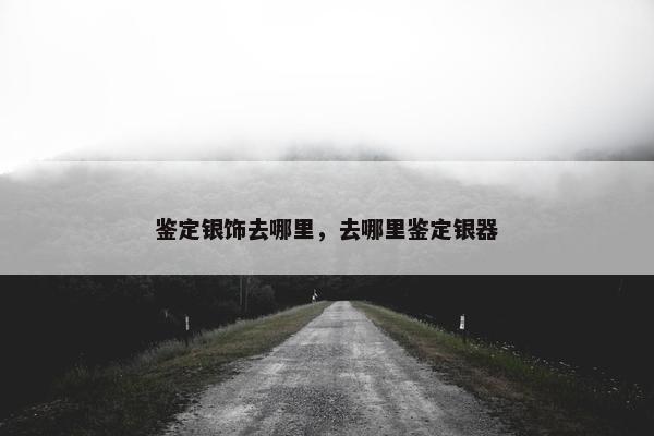 鉴定银饰去哪里，去哪里鉴定银器