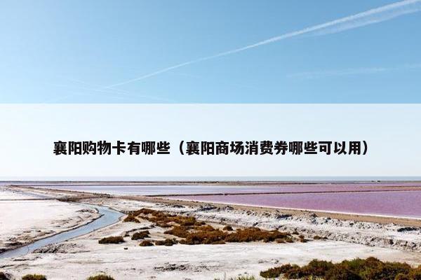 襄阳购物卡有哪些（襄阳商场消费券哪些可以用）
