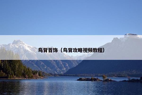 鸟背首饰（鸟背攻略视频教程）