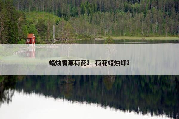 蜡烛香薰荷花？ 荷花蜡烛灯？