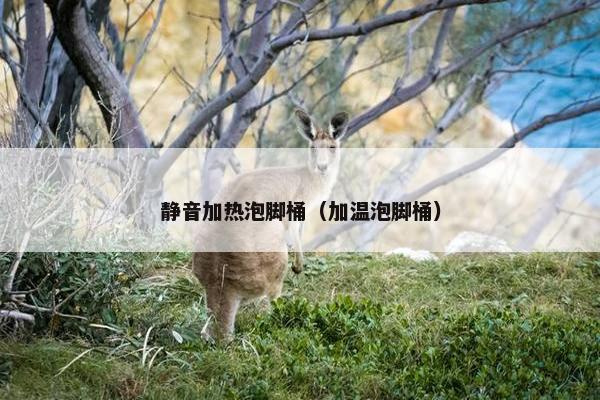 静音加热泡脚桶（加温泡脚桶）