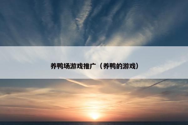 养鸭场游戏推广（养鸭的游戏）