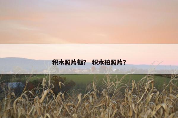 积木照片框？ 积木拍照片？
