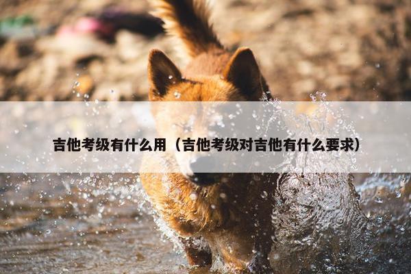 吉他考级有什么用（吉他考级对吉他有什么要求）