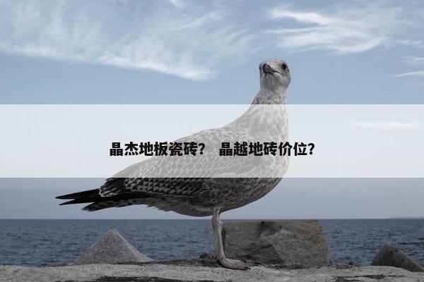 晶杰地板瓷砖？ 晶越地砖价位？