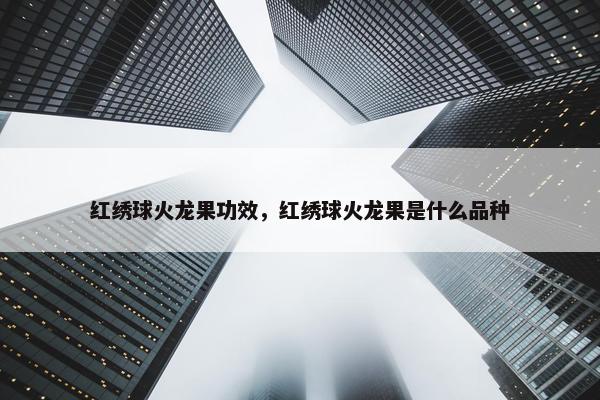 红绣球火龙果功效，红绣球火龙果是什么品种