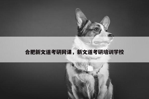 合肥新文道考研网课，新文道考研培训学校