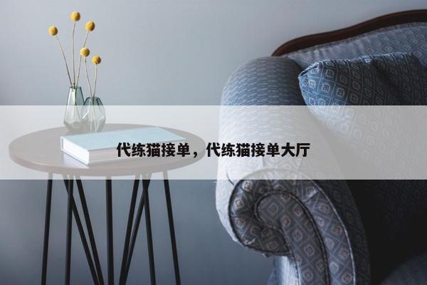 代练猫接单，代练猫接单大厅