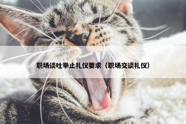 职场谈吐举止礼仪要求（职场交谈礼仪）