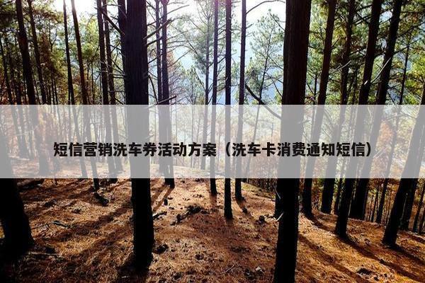 短信营销洗车券活动方案（洗车卡消费通知短信）