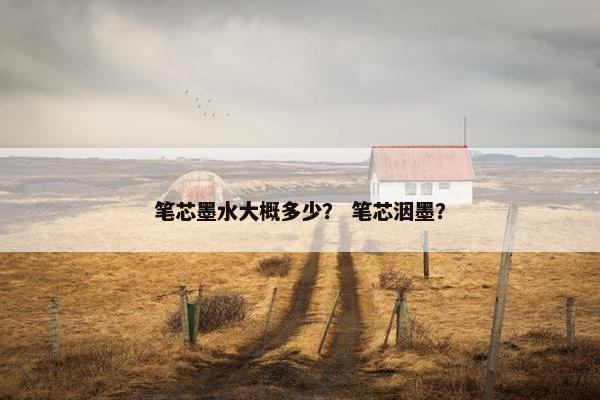 笔芯墨水大概多少？ 笔芯洇墨？