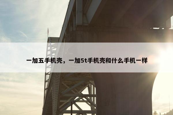 一加五手机壳，一加5t手机壳和什么手机一样