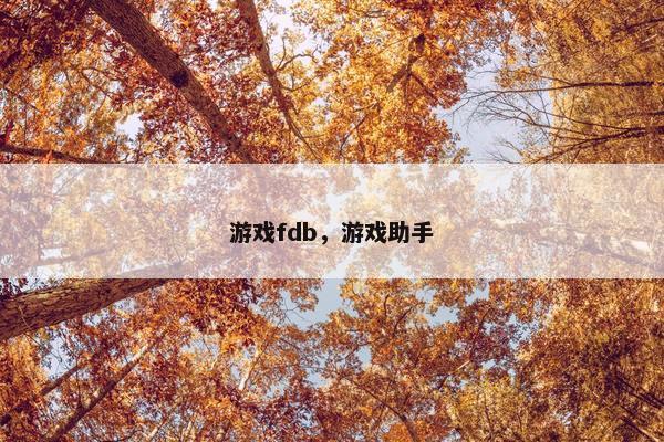 游戏fdb，游戏助手