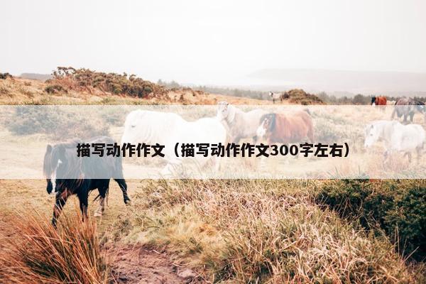 描写动作作文（描写动作作文300字左右）