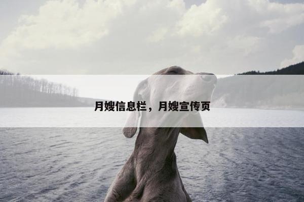 月嫂信息栏，月嫂宣传页
